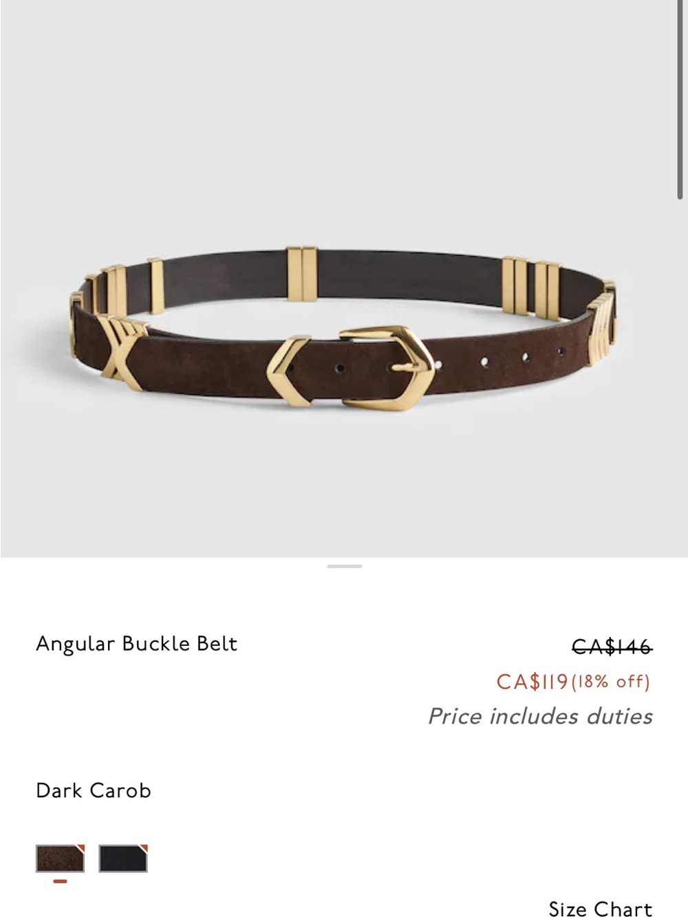 Madewell Belt with Gold Hardware